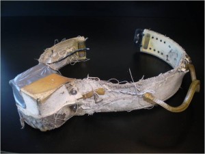 A collar recovered from a bear in the western Hudson bay population.